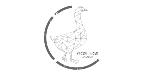 Website design for Goslings Academy, special needs education in New Castle